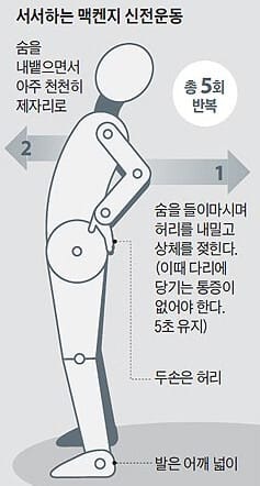 서서하는 맥켄지 신전운동 이미지